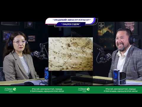 Видео: Хүн дэлхийг аврах уу? устгах уу? - ОНЦЛОХ СЭДЭВ