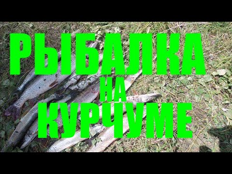 Видео: РЫБАЛКА НА КУРЧУМЕ.полная версия