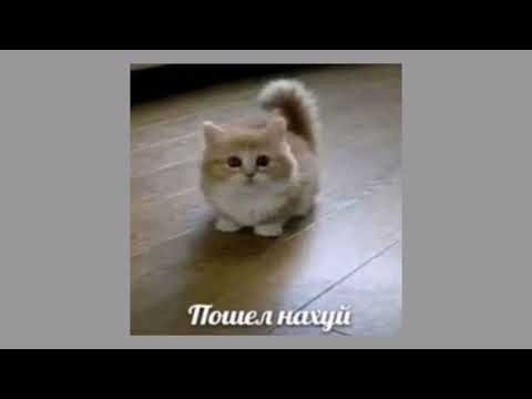 Видео: Теркель в беде — я пойду на — nightcore/speed up