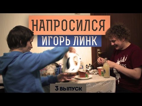 Видео: НАПРОСИЛСЯ: Игорь Линк