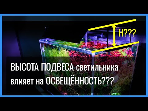 Видео: ВЫСОТА установки аквариумного СВЕТИЛЬНИКА над ВОДОЙ. Влияние на ИНТЕНСИВНОСТЬ ОСВЕЩЕНИЯ растений