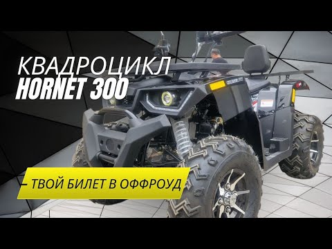 Видео: КВАДРОЦИКЛ HORNET 300 : ТВОЙ БИЛЕТ В ОФФРОУД