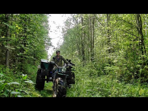 Видео: Разведка новых мест #440