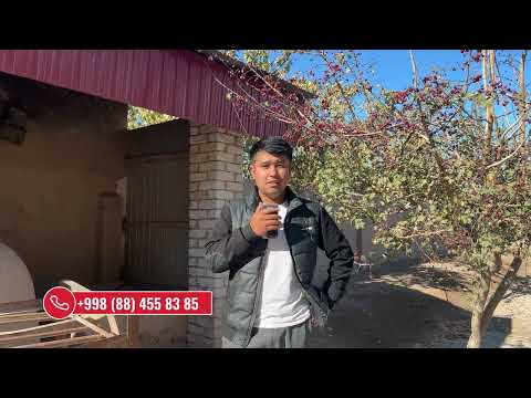 Видео: ХОРАЗМ УЙ ЖОЙ 2025 , ТАЙЙОР ХОВЛИ ЖОЙ СОТИЛАДИ КОШКОПИР ЗАРБДОР , #хоразм #ховлижой #уйжой #сотилади