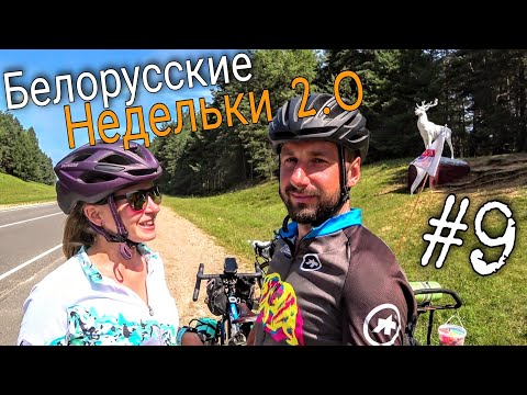 Видео: Велопутешествие по Беларуси. Беловежская пуща