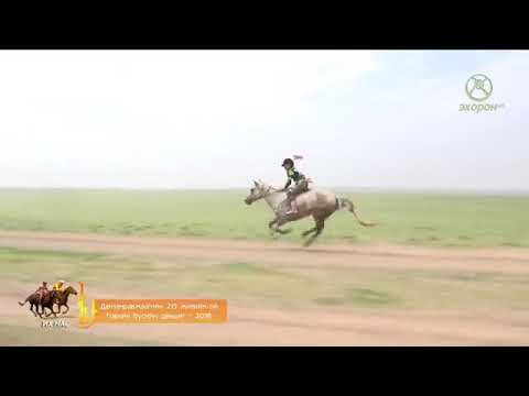 Видео: Говийн бүсийн даншиг  2018 Их нас, Хязаалан, Даага