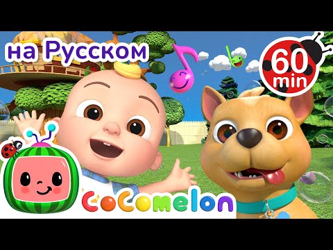 Видео: Моя собака 🐶🎶 | CoComelon на русском — Детские песенки