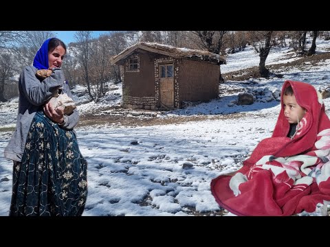 Видео: Среди натиска снега и льда одинокая мать борется за безопасное убежище.