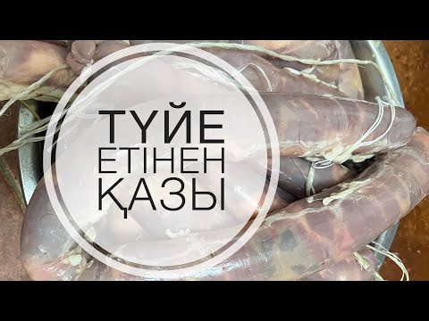 Видео: Түйе етінен қазы жасау. Дәмі тіл үйіретін, мол қазы.