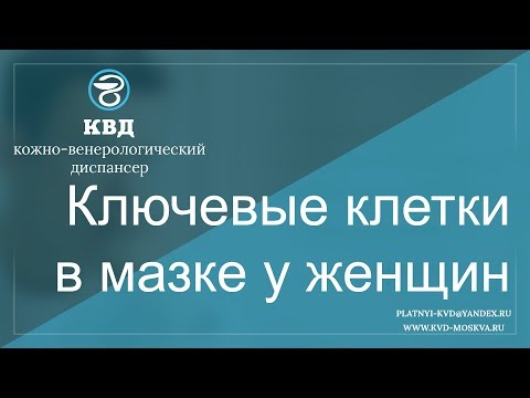 Видео: 519  Ключевые клетки в мазке у женщин