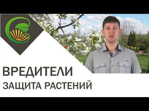 Видео: Защита от вредителей с помощью биопрепаратов