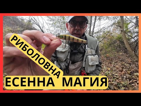 Видео: ЕСЕННА РИБОЛОВНА МАГИЯ