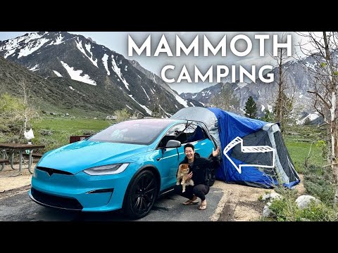 Видео: КЕМПИНГ в Tesla Model X (обогреватель работал всю ночь... что случилось?)