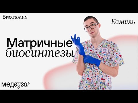 Видео: Матричные биосинтезы и их приручение
