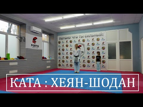 Видео: КАТА: ХЕЙАН-ШОДАН / ШОТОКАН / WKF / ВИДЕО