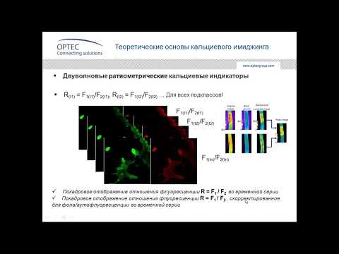 Видео: Вебинар «Кальциевый имиджинг в конфокальной микроскопии», часть 4