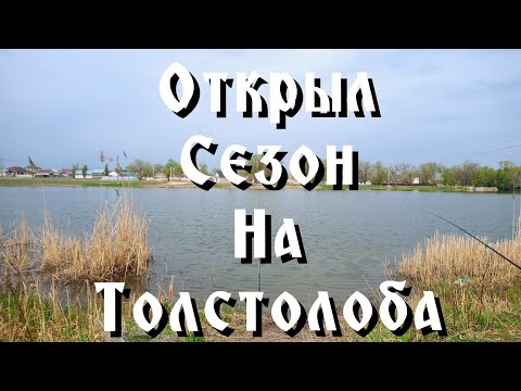 Видео: Рыбалка на толстолоба. Озеро " Караой пруд 2 ". Открытие сезона в апреле.