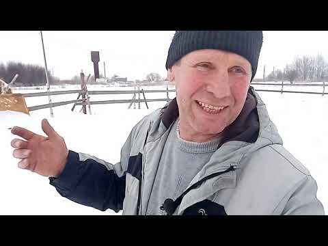 Видео: Сколько нужно получать  молока от коров ,чтоб жить достойно.