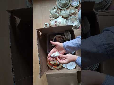 Видео: Красный дракон и жемчужина 