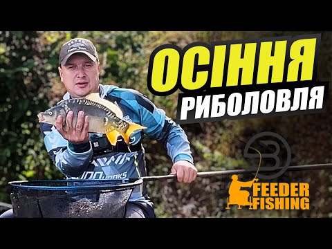 Видео: Осіння риболовля на фідер #fishing