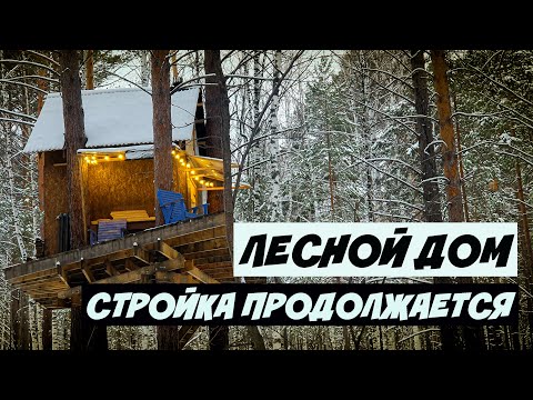 Видео: ДОМ НА ДЕРЕВЕ / ЛЕСНАЯ СТРОЙКА ПРОДОЛЖАЕТСЯ