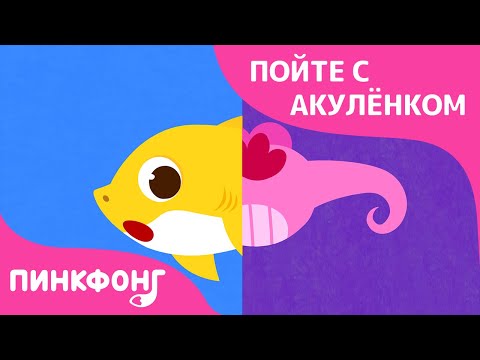 Видео: Хвост Акулёнка | Пойте с Акулёнком | Пинкфонг Песни для Детей