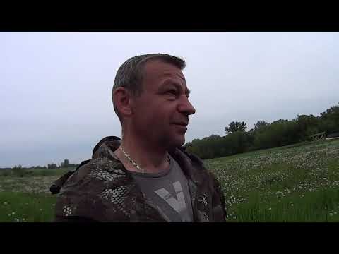 Видео: Высадка табака закончена.