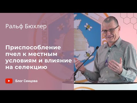 Видео: Как влияет приспособление пчел к местным условиям на селекцию? (Ральф Бюхлер, лекция 2)