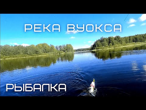 Видео: Река Вуокса. Рыбалка. Жор щуки. Ночевка на острове.
