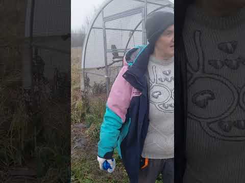 Видео: С праздником Вас. И маленькая прогулка...