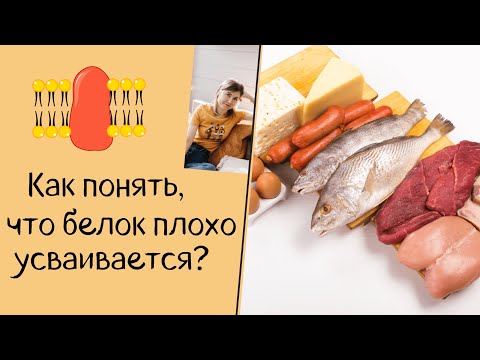 Видео: Как понять, что белок плохо усваивается?