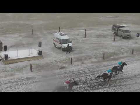 Видео: Скаковой день 27 сентября. Дистанция 1600 м. Күндүмэн