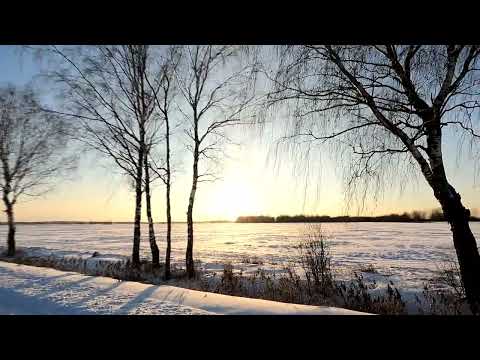 Видео: Охота с Добычем на русака. 06 .01. 2024  24 -й и первый в 24 -м