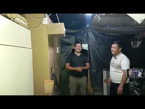 Видео: Кадир ортида