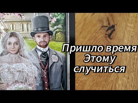 Видео: Срочно ‼️ ЧТО ДЛЯ ВАС ПРИГОТОВИЛА СУДЬБА 🔥🎁😲