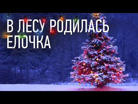 Видео: 🎄 В лесу родилась Ёлочка - детская новогодняя песня!