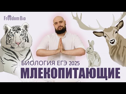 Видео: МЛЕКОПИТАЮЩИЕ для ЕГЭ ПО БИОЛОГИИ |Зоология| ЕГЭ БИОЛОГИЯ 2025|Freedom|