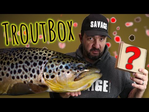 Видео: Избирам сет  ПРИМАМКИ  за ПЪСТЪРВА и универсален ЛАЙТ СПИНИНГ