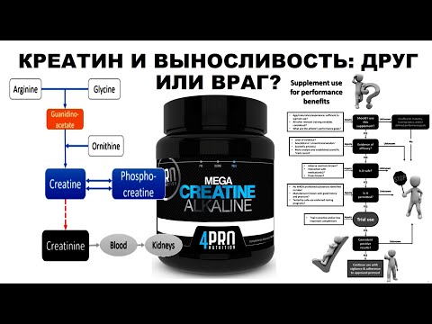Видео: лекция: КРЕАТИН И ВЫНОСЛИВОСТЬ: ДРУГ ИЛИ ВРАГ?