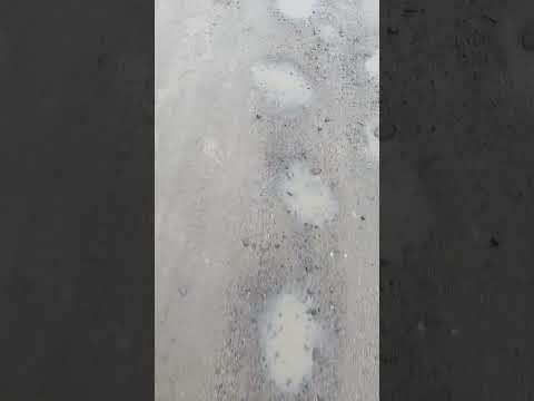 Видео: Людям ламають Ноги Коболчин Сокирянщина