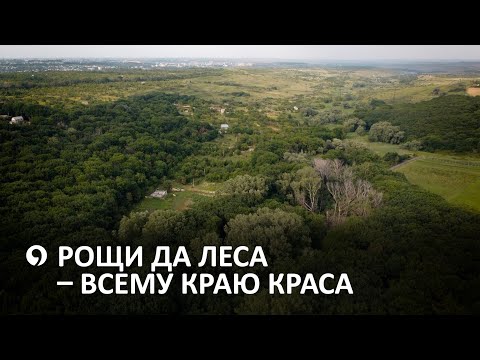 Видео: Стратегия сохранения природного достояния Ставрополья