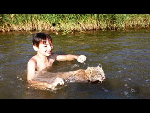 Видео: Мальчик вытащил из воды утопающего рысенка даже не догадываясь чем это обернется
