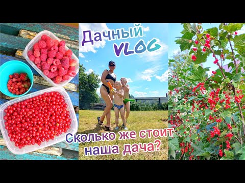 Видео: Дачный VLOG🏡Сколько стоит наша дача?💰Ответ на вопросы😉Загораем и отдыхаем🏖Собираю ягоды🍓