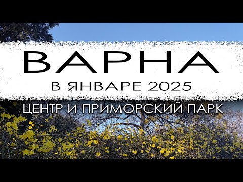 Видео: Болгария. Варна 9 января 2025 года. Прогулка по городу.
