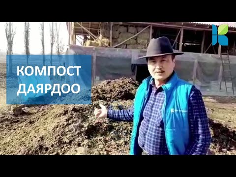 Видео: КОМПОСТ ДАЯРДОО