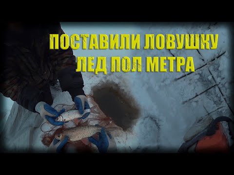 Видео: ставим сеть на омуте лед пол метра