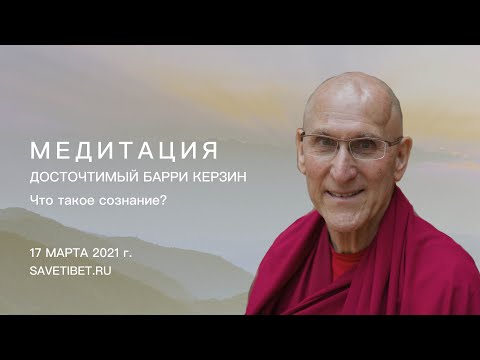 Видео: Барри Керзин. Идем в глубину: что такое сознание?