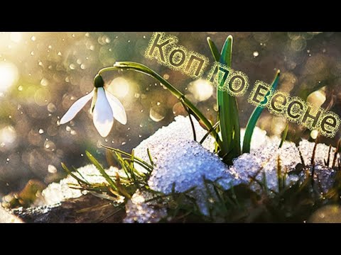 Видео: весна 2022. поиск продолжается. Тх-850. старинное клеймо.