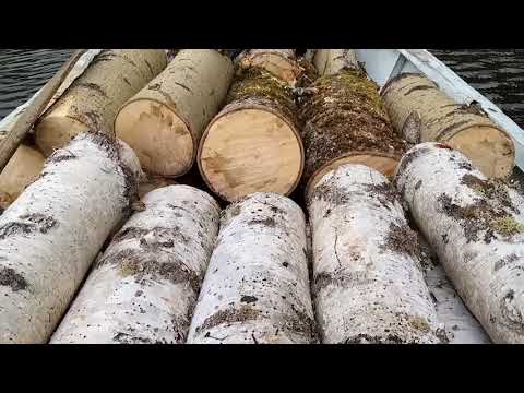 Видео: Лес, Дрова, Дружба / Stihl 180 ms опять подвёл