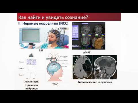Видео: Мозг, сознание и память: взгляд нейробиолога. Ивашкина. Курс "Сознание и мозг: последний рубеж"